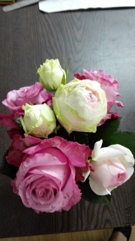 �Ȼ�ͻò�ƿ��