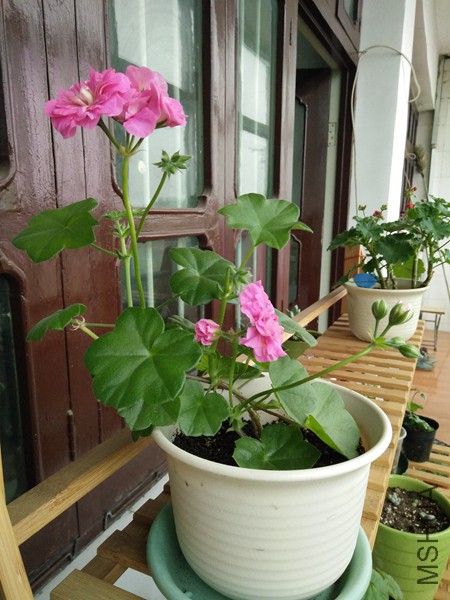 IMG20160425065849_����.jpg