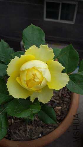 20160426_114307.jpg