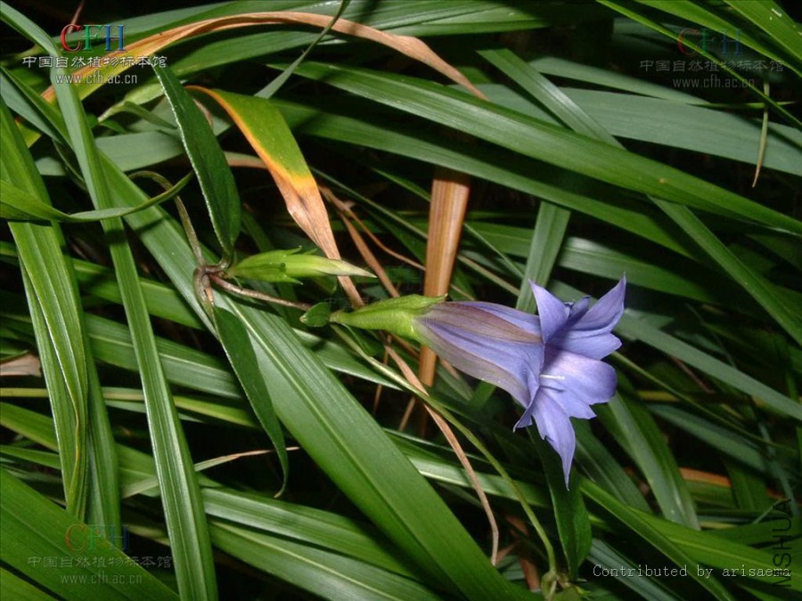 b21c8701a18b87d6ba3de6a7070828381f30fd0f.jpg