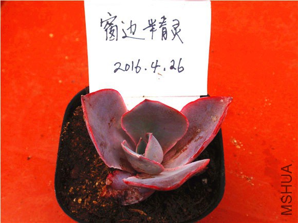 P1010022.JPG