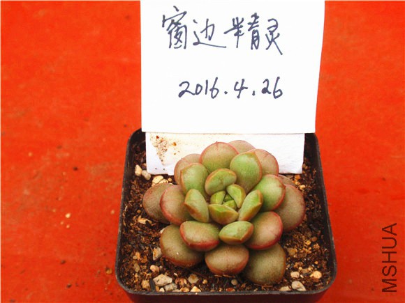 P1010019.JPG