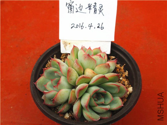 P1010018.JPG