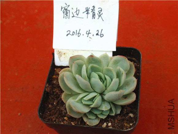 P1010026.JPG