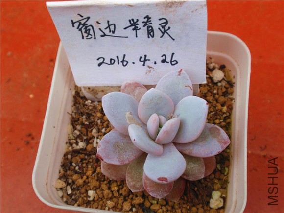 P1010024.JPG