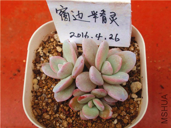 P1010031.JPG
