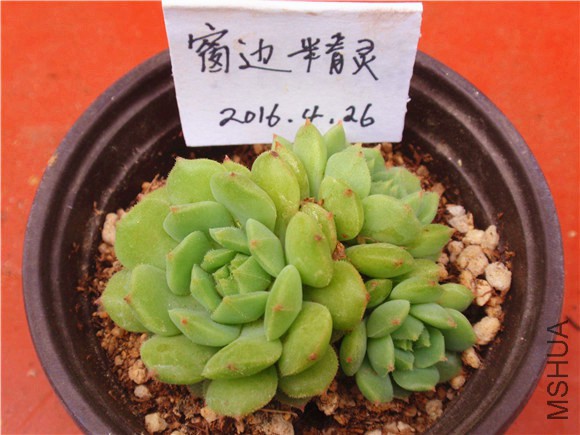 P1010033.JPG