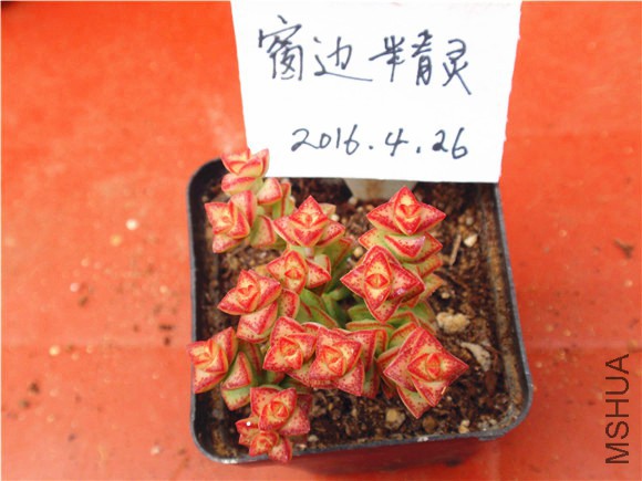 P1010034.JPG