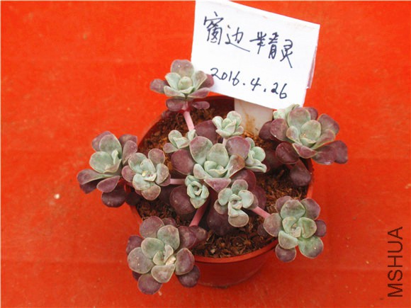 P1010041.JPG