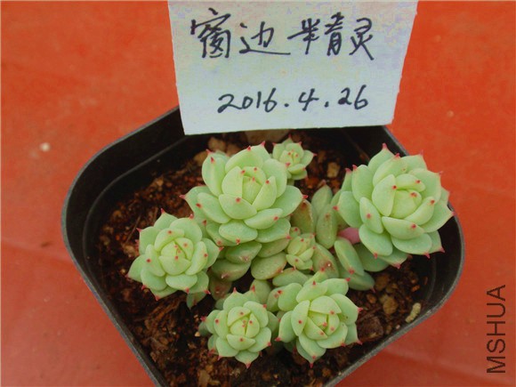 P1010042.JPG
