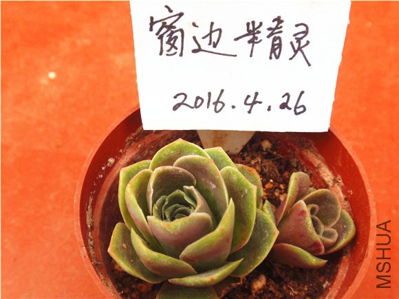 P1010043.JPG