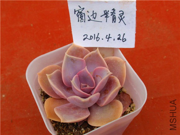 P1010045.JPG