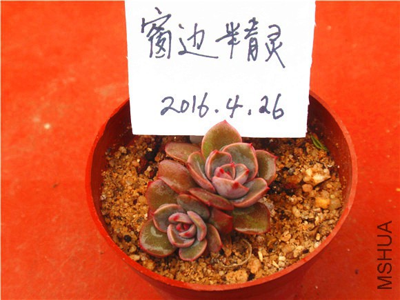 P1010049.JPG