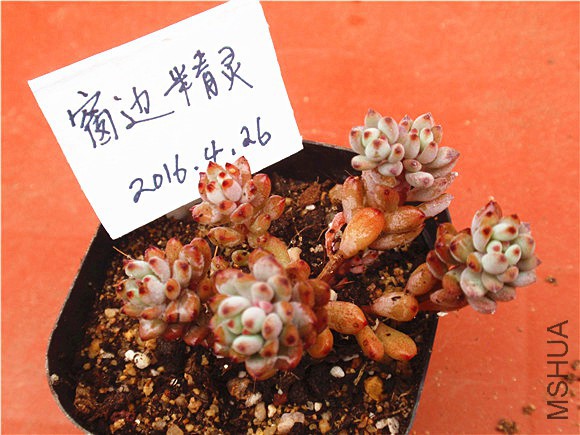 P1010051.JPG