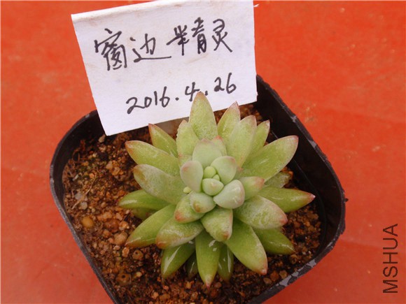 P1010056.JPG
