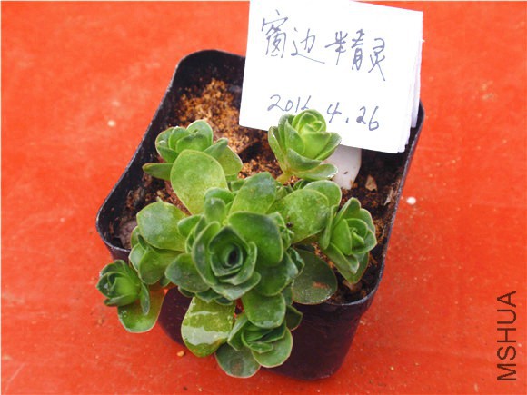 P1010055.JPG