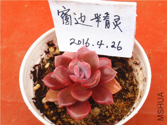 P1010053.JPG