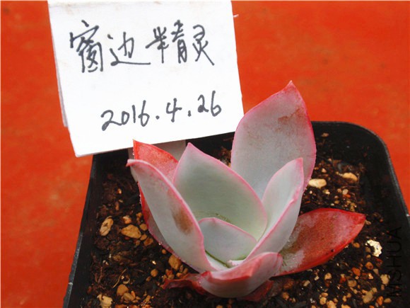 P1010060.JPG