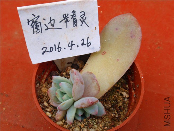 P1010065.JPG