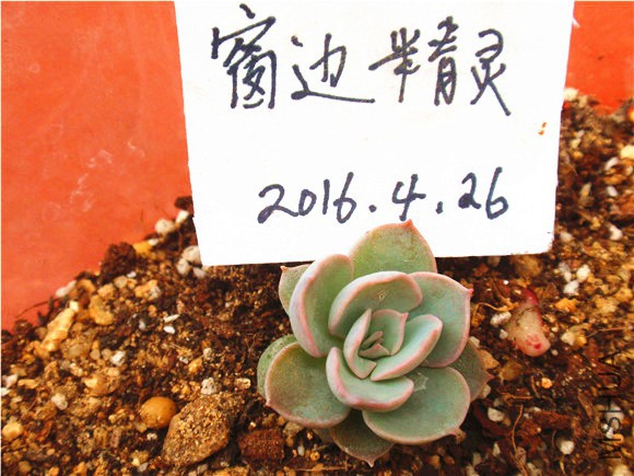 P1010075.JPG