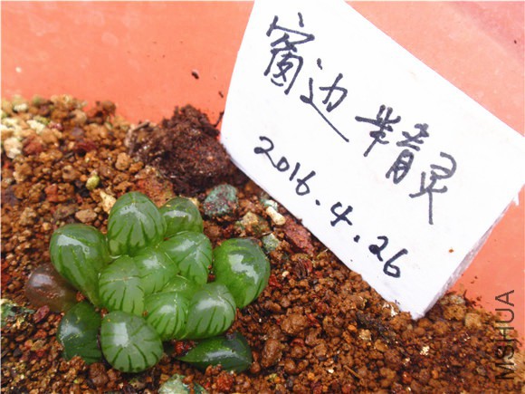 P1010089.JPG