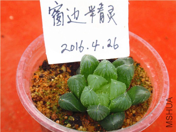 P1010088.JPG