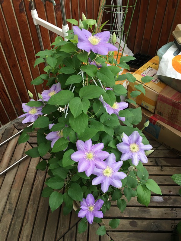 QQͼƬ20160426153246.jpg