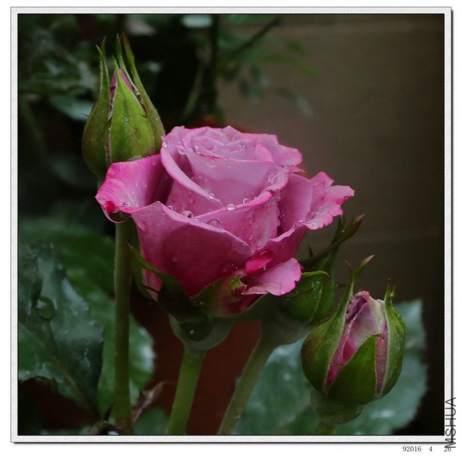 2016042604.jpg