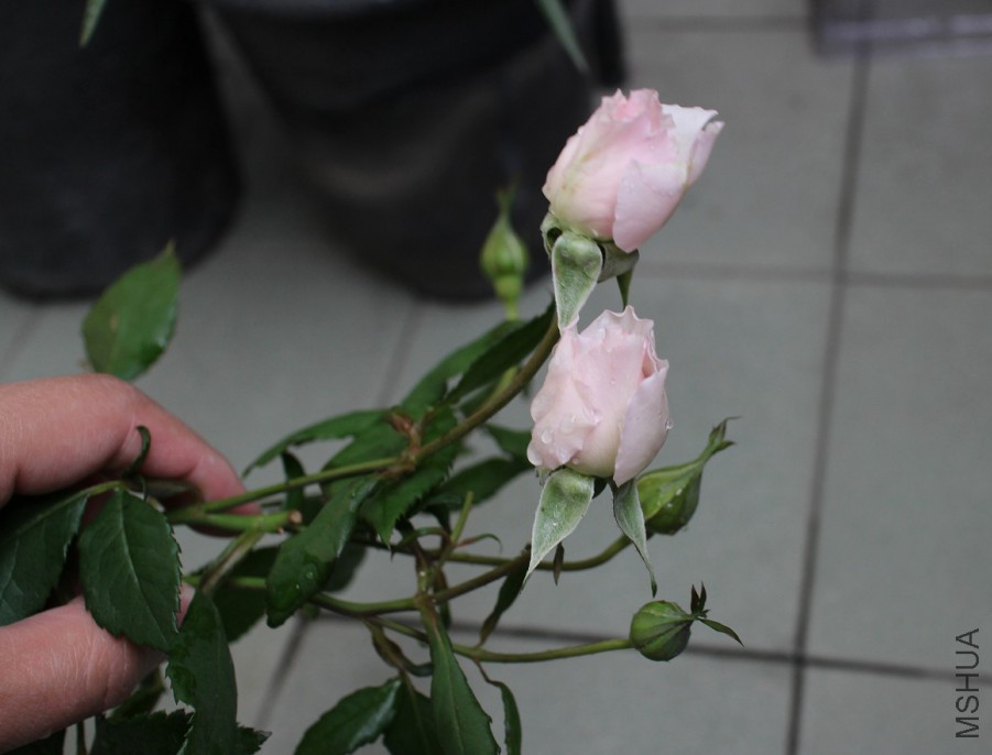 IMG_0728.JPG
