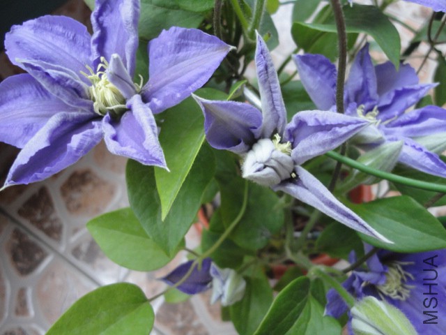 DSC01367.JPG