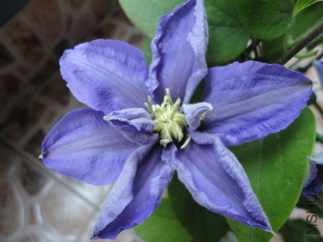 DSC01369.JPG