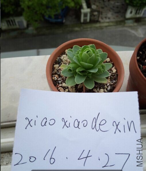 ɽ��.jpg
