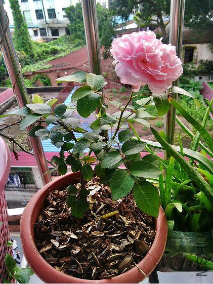 QQ��ͼ20160427130151.jpg
