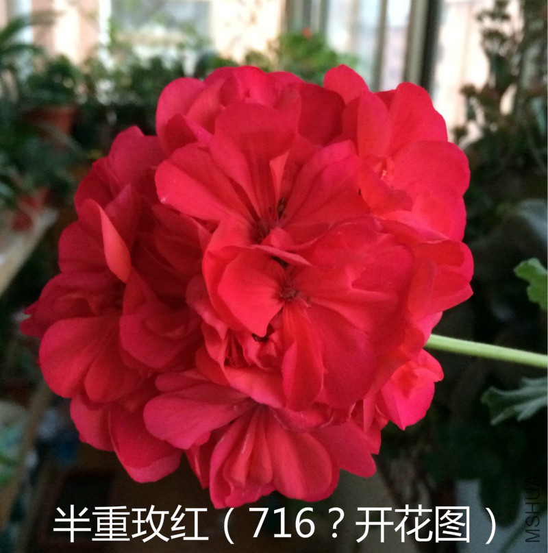 716����ͼ.jpg