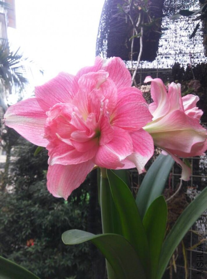 �ڶ��ڣ���������