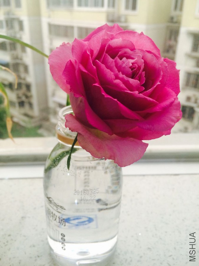 QQͼƬ20160427095024.jpg