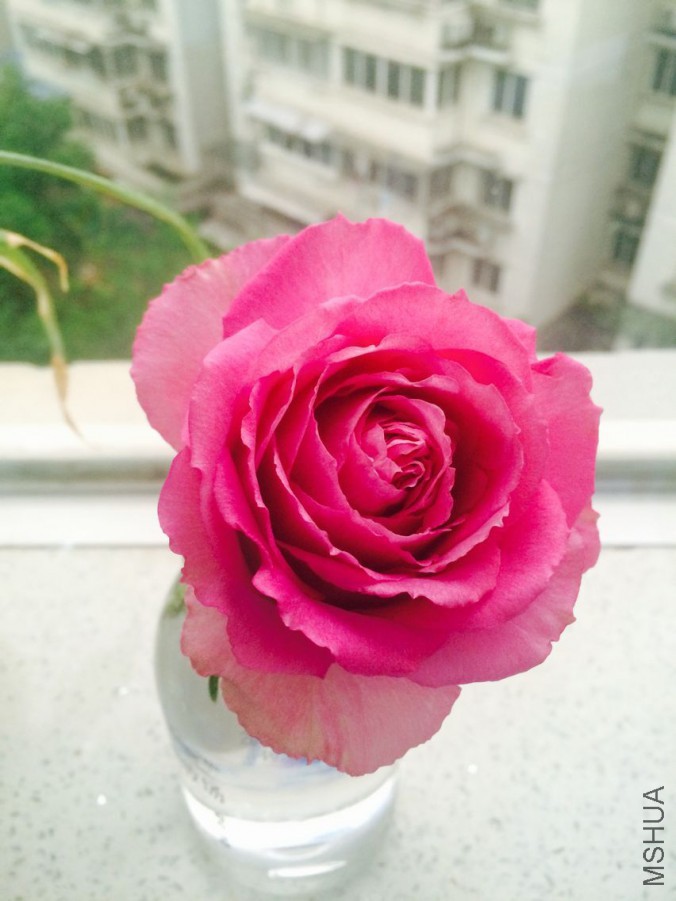 QQͼƬ20160427095027.jpg