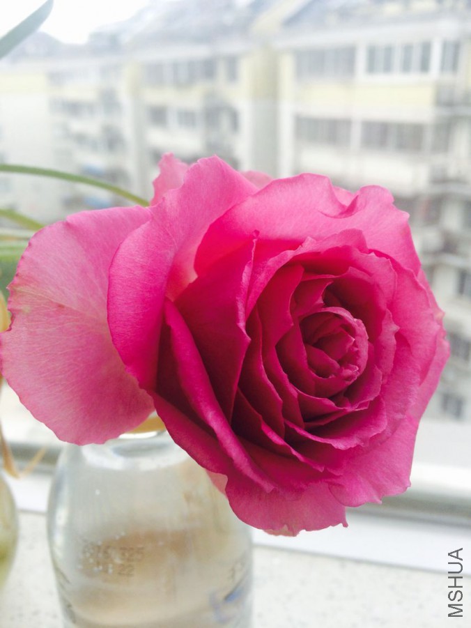 QQͼƬ20160427095033.jpg