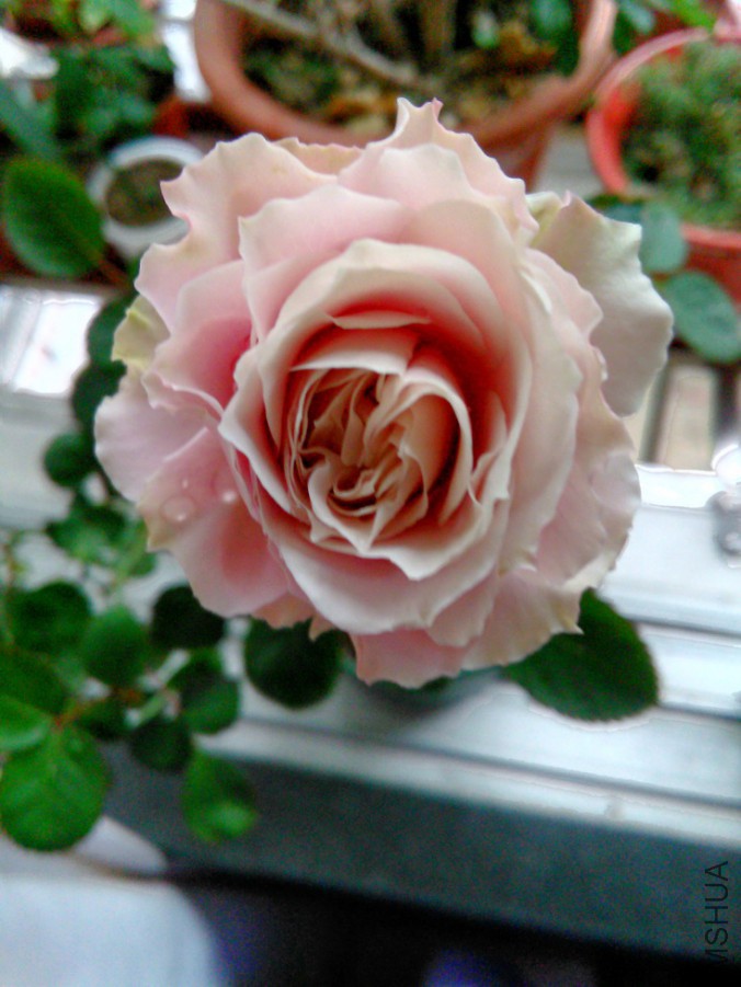 1���п��Ļ�ɫ�е㲻һ��