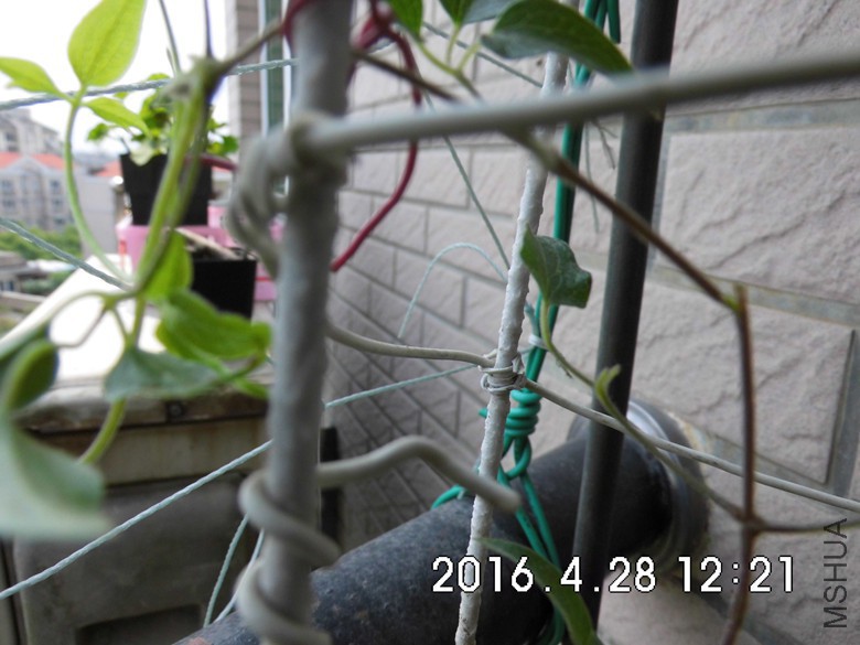 049_����.jpg