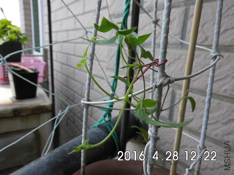 050_����.jpg