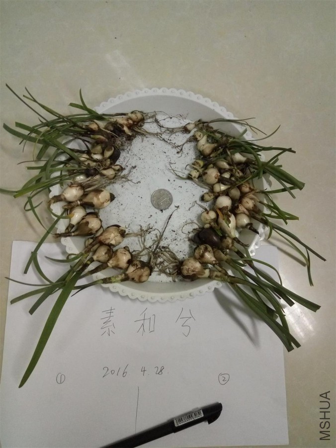 ����Ǣ��飬�ұ��Ǣ���