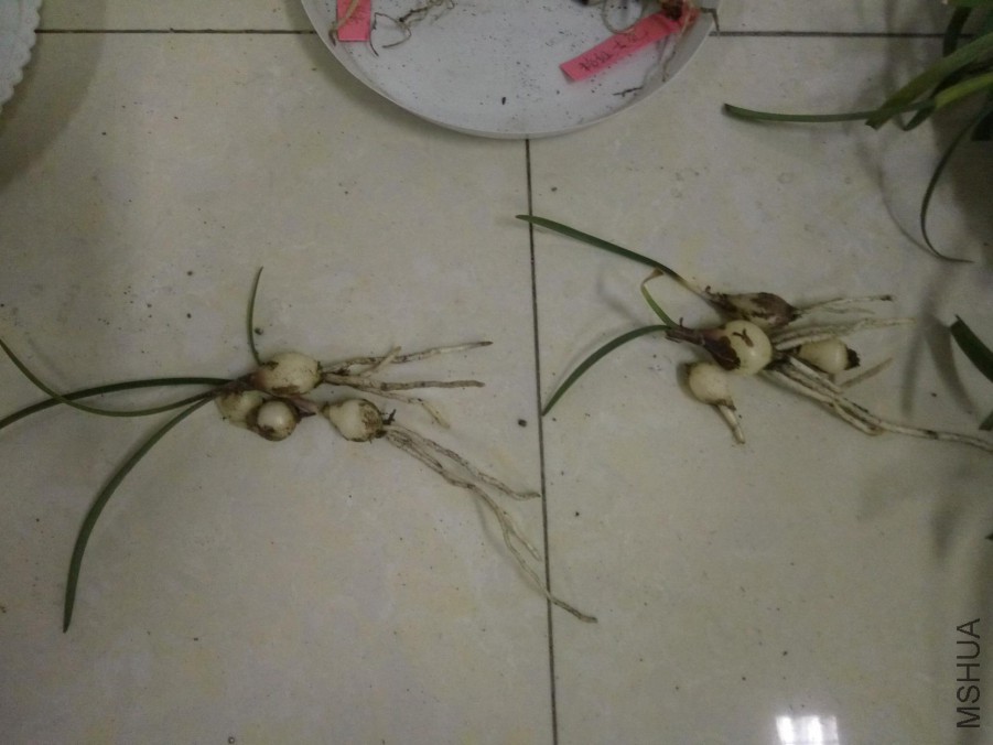 �٢��������ϸ���