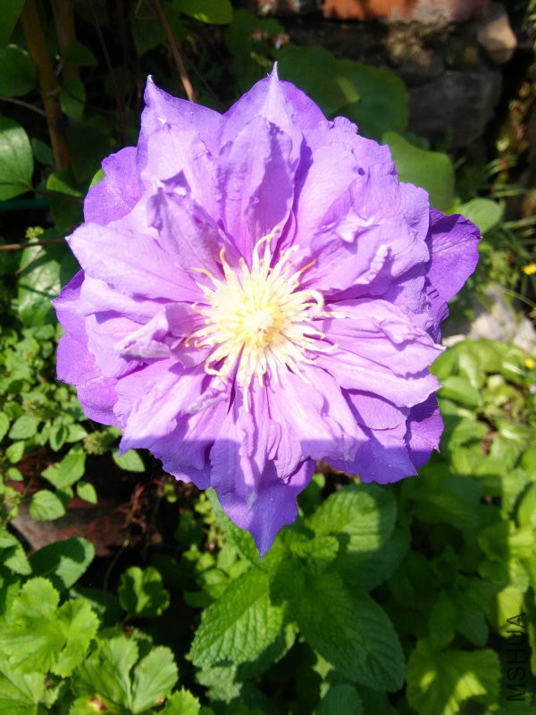IMG20160429100829.jpg