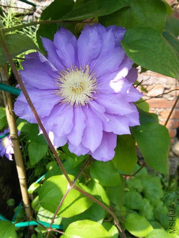 IMG20160429100838.jpg