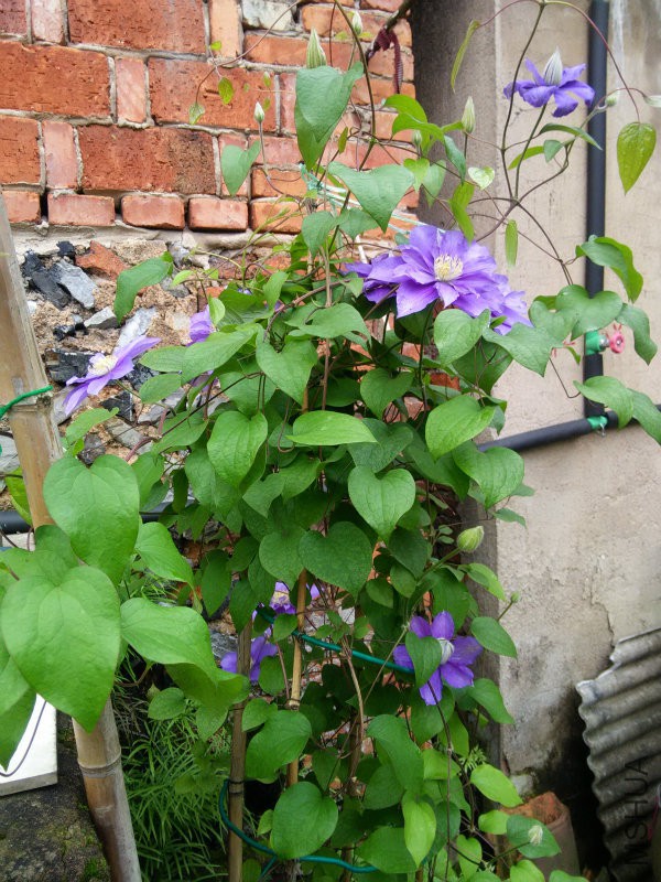 IMG20160422113645.jpg