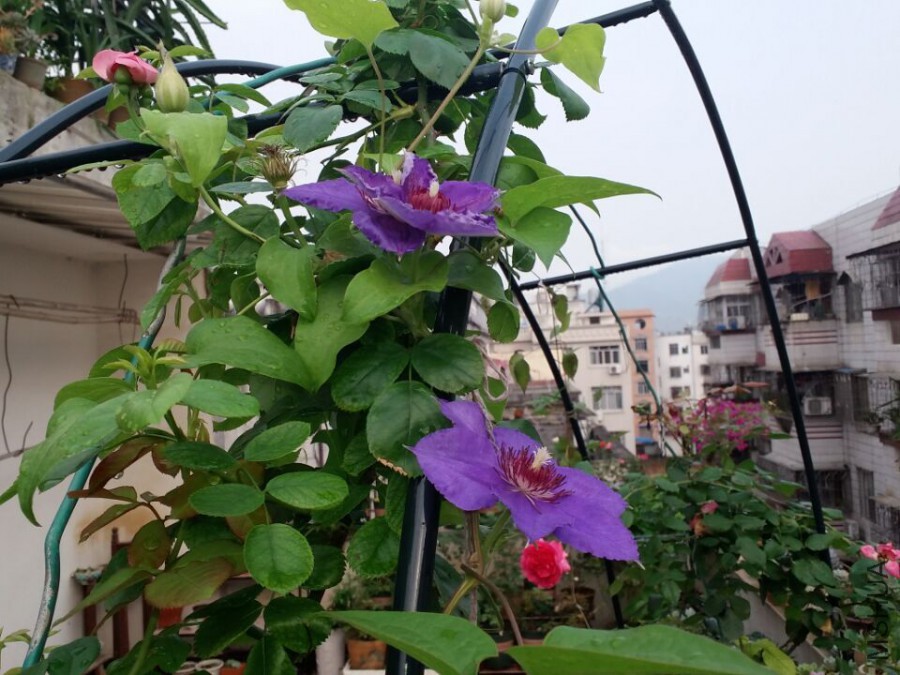 QQͼƬ20160429113240.jpg