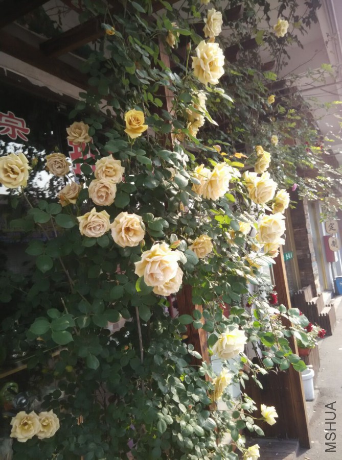 QQͼƬ20160429123404.jpg