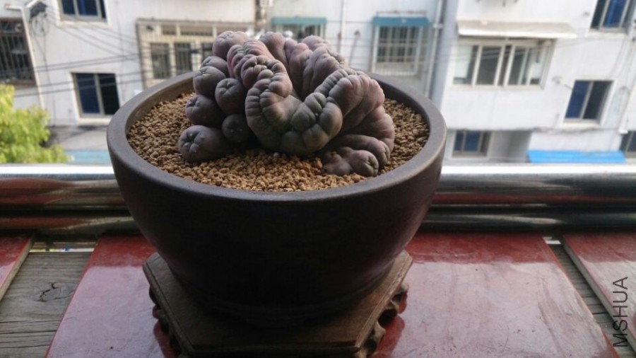 QQͼƬ20160429180526.jpg