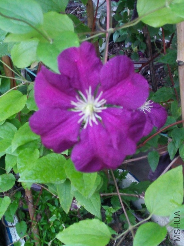 IMG20160429183651.jpg